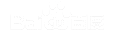 ���ɹ�AI�Ż�